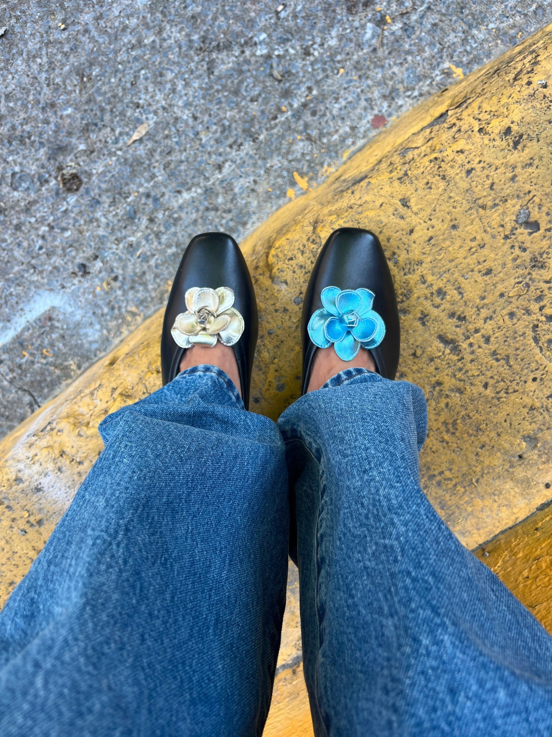 Shoe Clips