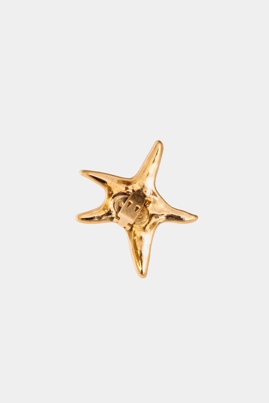 Ecom image of a gold shoe clip shaped as a star, textured. Back clasp view.