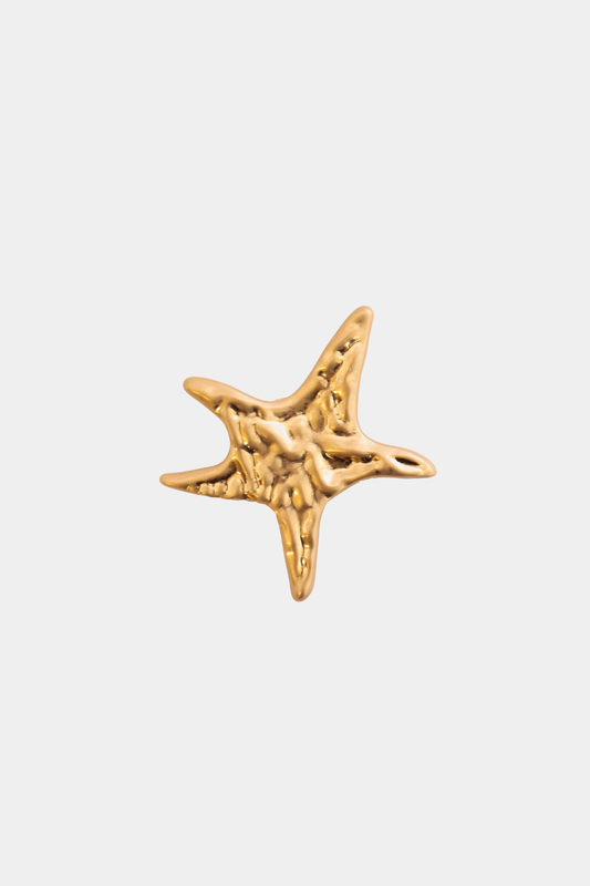 Ecom image of a gold shoe clip shaped as a star, textured.