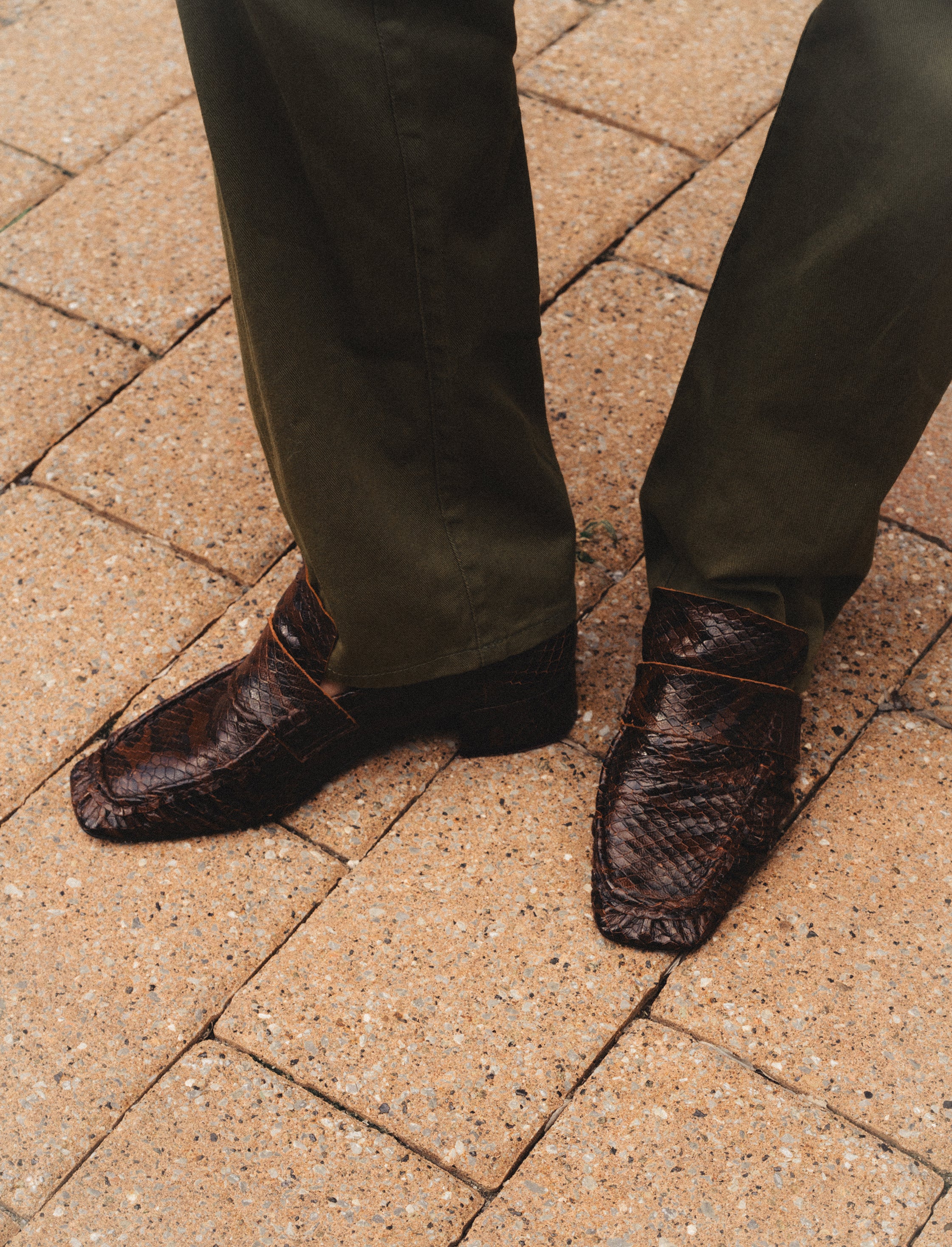 Navas Brown Snake